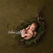 neugeborenenfotografie-baby-fotograf-newborn-babyfotografie-newbornfotografie-berlin_0114