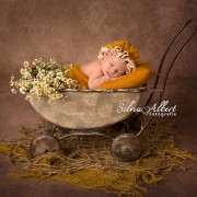 neugeborenenfotografie-baby-fotograf-newborn-babyfotografie-newbornfotografie-berlin_154